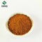 CAS 121521-90-2 Salvia Miltiorrhiza Extract Purity 10% Danshen Extract