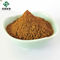 Food Grade Polygonum Cuspidatum Root Extract Resveratrol 50%