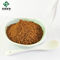 Brown Resveratrol Extract Powder 50% Polygonum Cuspidatum Powder
