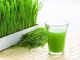 GMO Free Pure Wheatgrass Powder Nutritious For Human Metabolism Promotion