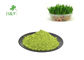 200 Mesh Oat Sprout Powder For Cholesterol Lowering 20g Free Sample