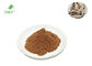 100% Natural top quality hot selling perilla frutescen extract powder