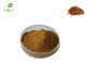 Hot selling natural health care supplement catuaba bark extract powder