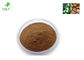 African Mango Seed Herbal Extract PowderFor Daily Fibre Requirements