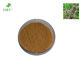 Herbal Motherwort Extract Brown Powdery Form Clear Heat Regulate Menses