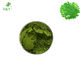 100% Natural Moringa Leaf Extract Powder High Nutritional Value 1kg MOQ