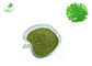 Bad Breath Eliminating Moringa Leaf Extract Powder 2 Years Shelf Time
