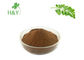 Customized Moringa Leaf Extract Powder Soft Fluffy With Rich Nutty Smell