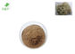 Brown Fine White Willow Bark Extract Salix Alba Extract From Bark Fever Relief