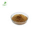 Natural Health Herbal Extract Powder Echinacea Purpurea Plant Extract Powder