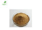 Customized Pure Herbal Extracts Common Lomatium Powder Brown Yellow Color