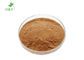 Pain Relief Rhizoma Corydalis Herbal Extract Powder