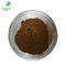 Customized Diabetes TLC Leaf Cissus Quadrangularis Powder