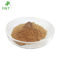 Brown Yellow Obesity Cissus Quadrangularis Powder