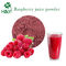 Beverage Flavor Red Raspberry Concentrate Juice Powder