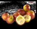 Ascorbic Acid Pure Camu Camu Fruit Extract Drum Package