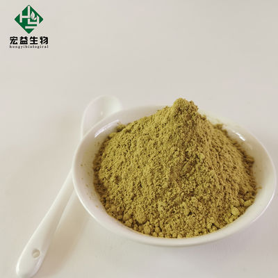 CAS 77-52-1 Bulk Ursolic Acid Extract Loquat Leaves Extract