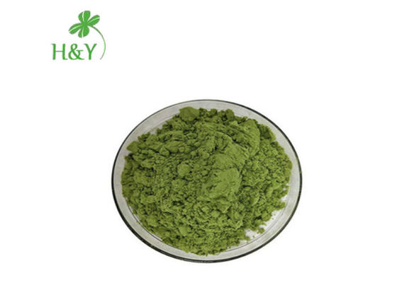 Rheumatism Treatment Use Oats Grass Juice Powder , Green Avena Powder