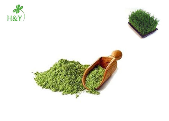 Absorbable Purity Barley Grass Extract Powder No Chemical Additive