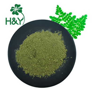 Green GMO Free 60 Mesh Moringa Leaf Extract Powder