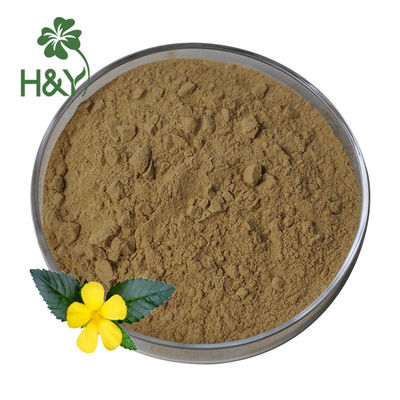 Coughs Treatment Plant Extract Powder , 100% Natural Damiana Extract Powder